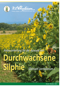 Silphie-Anbauanleitung-Aussaat-2015-web