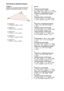 Berechnungen an allgemeinen Dreiecken Aufgabe 1: Lösung