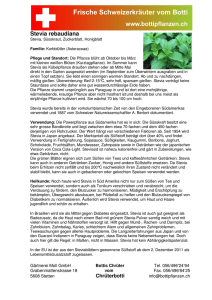 Stevia rebaudiana - Bottipflanzen.ch
