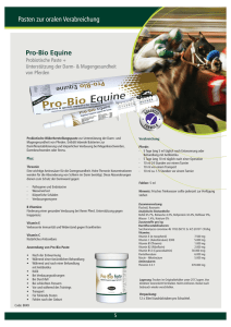 Pasten zur oralen Verabreichung Pro-Bio Equine