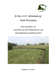 Ergebnisbericht_Strausberg_160614 1