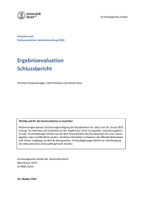 Schlussbericht Ergebnisevaluation