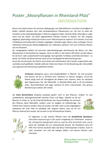 Begleittext Moorpflanzen - Stiftung Natur und Umwelt Rheinland