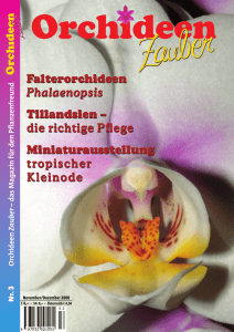 Ausgabe 3-2008 - OrchideenZauber