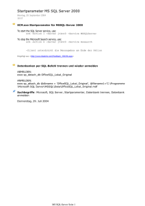 Startparameter MS SQL Server 2000