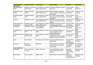 Gesamtliste (als PDF Datei)