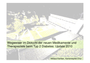 DEO 2010 Diabetestherapie Kamber