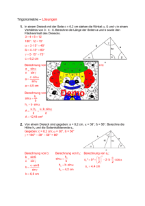 Trigonometrie – Lösungen