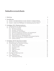 Inhaltsverzeichnis - Physikalisches Institut Heidelberg