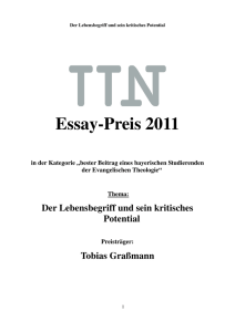 TTN-Essay Tobias Graßmann - Institut Technik