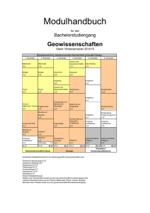 Modulhandbuch bis SS 2015