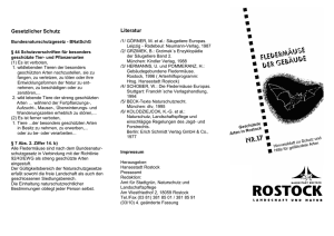 Faltblatt Fledermäuse (application/pdf/pdf 100.1