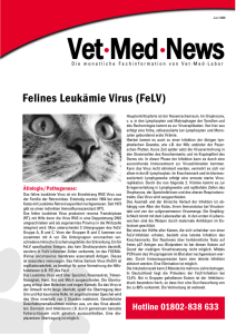 NEWS FeLV 6-06.qxp - MIMMIs Blog Katzenshop