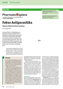 Fokus Antiparasitika - Deutsches Tierärzteblatt
