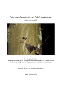 Bericht Fledermäuse 2014