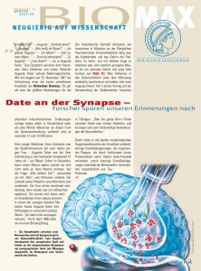 Date an der Synapse - Max