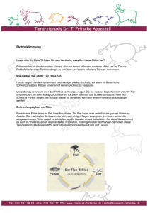 Flöhe und Zecken - Tierarzt Fritsche