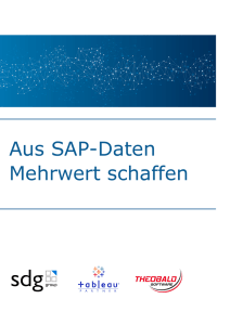 Aus SAP-Daten Mehrwert schaffen