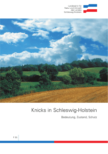 Knicks in Schleswig-Holstein - Gemeinde Henstedt