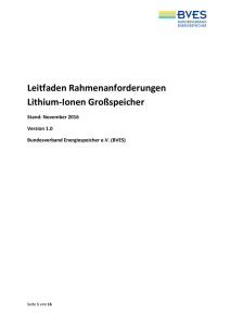 Leitfaden Rahmenanforderungen Lithium