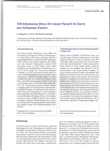 Tritrichomonas fetus: Einneuer Parasit im Darm - zingg