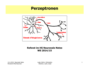 Perzeptronen - neuro