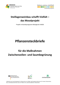 Pflanzensteckbriefe - Lebendige Agrarlandschaften