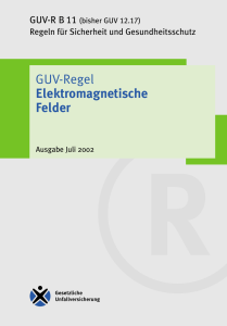 GUV-R B11 "Elektromagnetische Felder"