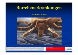 Borrelienerkrankungen - Laborärztliche Gemeinschaftspraxis Lübeck
