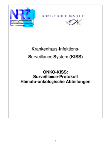 Surveillance-System (KISS)