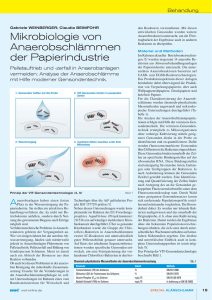 Mikrobiologie von Anaerobschlämmen der Papierindustrie