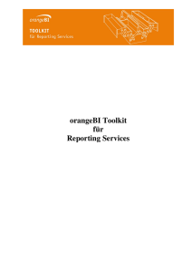 orangeBI Toolkit für Reporting Services