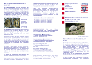 PDF / 213.71 KB - Regierungspräsidium Kassel