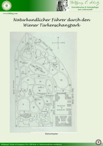 Naturkundlicher Führer durch den Wiener Türkenschanzpark