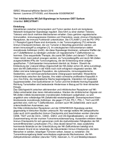 Inhibitorische NK-Zell