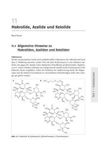 Makrolide, Azalide und Ketolide