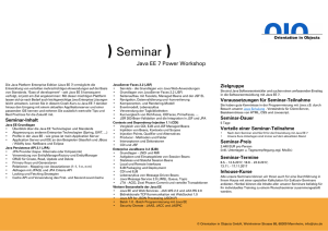 Schulung Java EE 7 Power Workshop Seminar / Training