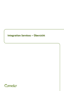 Integration Services – Überblick