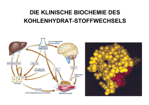 Vortrage 6.