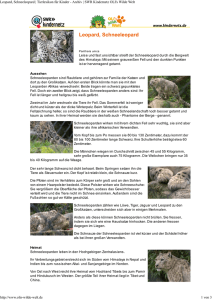 Leopard, Schneeleopard PDF OLIs Tierlexikon