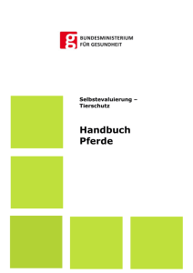 Handbuch Pferde