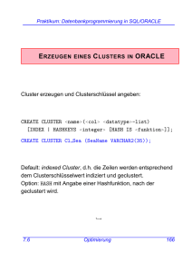 Praktikum: Datenbankprogrammierung in SQL/ORACLE