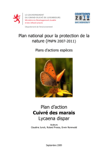 Artenschutzplan (Plan d`action espces/PAE)