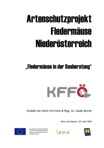 Artenschutzprojekt Fledermäuse Niederösterreich