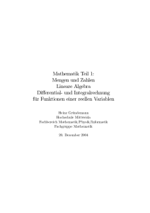 Mathematik Teil 1 - Hochschule Mittweida