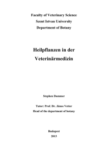 Heilpflanzen in der Veterinärmedizin