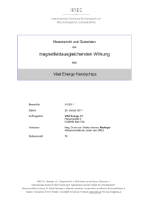 110120 Gutachten Vital Energy_handychip