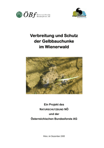 Projektbericht "Verbreitung und Schutz der Gelbbauchunke im
