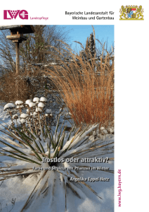 "Trostlos oder attraktiv? Farbe und Struktur mit Pflanzen im Winter" 1