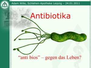 2010_13 - Antibiotika - schlehen